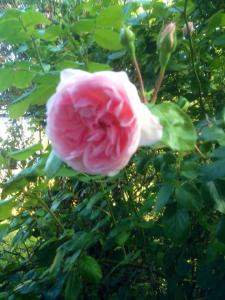 B&B / Chambres d'hotes Hon-ty : photos des chambres