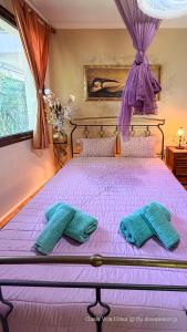 Oasis Villa Elitsa - Pelion