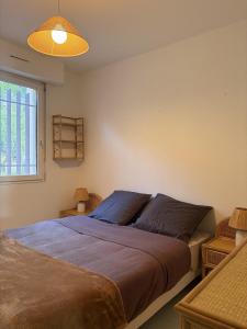 Appartement avec vue sur les iles dor, climatisation et parking