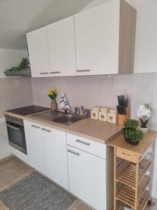 Slani Apartmani Vir, Miljkovica