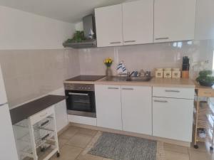 Slani Apartmani Vir, Miljkovica