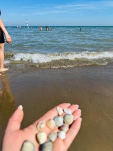 Appartamento Incantevole 300m dal mare