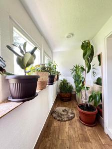 The Secret Garden Retreat