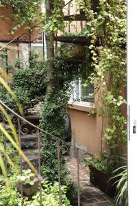 Oasis San Miguel 2