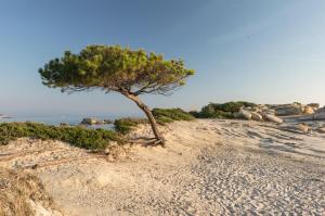 Ekies All Senses Resort Halkidiki Greece