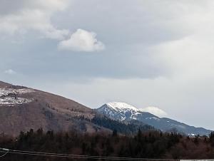 Borjomi Paradise