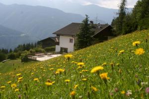 Biogasthaus Plonerhof "sweet Dolomites view"