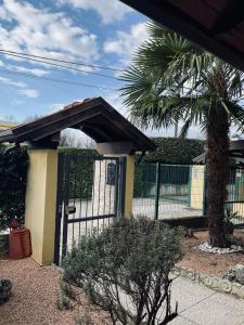 Il sogno di Eda