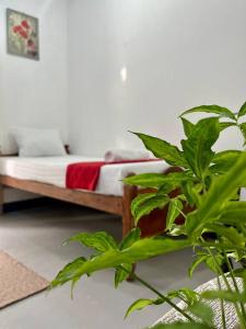 Tranquil Jungle Retreat - 24 min to Beach