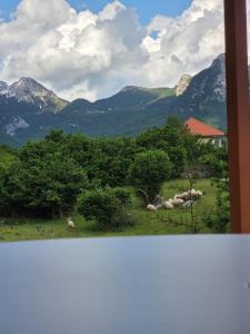 Visi Cabins Bogë