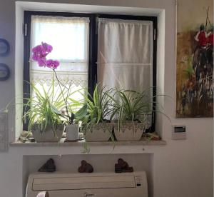 Casa da Pinheirinha - Traditional house, Privacy & Tranquility - Sagres