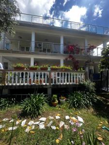 Villa primorka