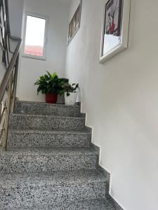 Vila Dior