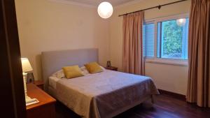 Excellent Holiday Apartment