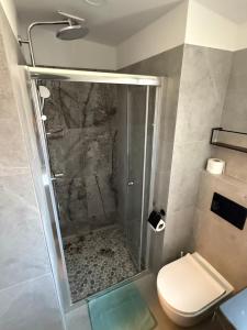 Attic Izola