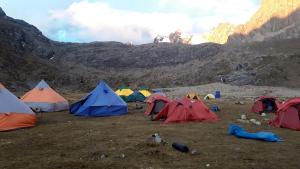 Selena Camping