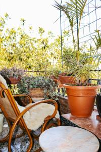 Sirocco Art Escape & Views Malaga City Center