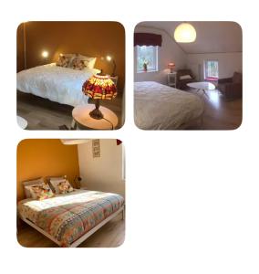 chambre dans les bois