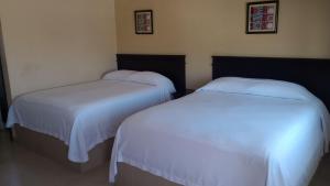Hotel palma de oro