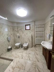 Hotel Trei Brazi