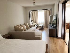 Hotel Trei Brazi