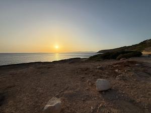 Villa Mares Puig