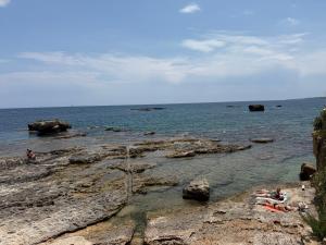 Sea View Terrace