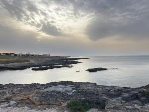 Villa Carrube fifty meters from the sea
