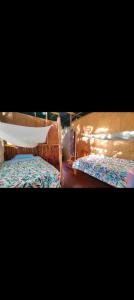 Greenland Eco Amazon Lodge