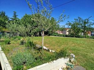 Apartments Biondi