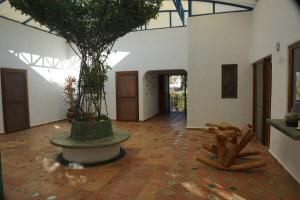 Large studio with private patio in Casa Cornucopia