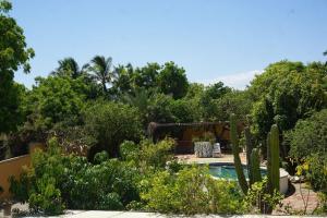 Large studio with private patio in Casa Cornucopia