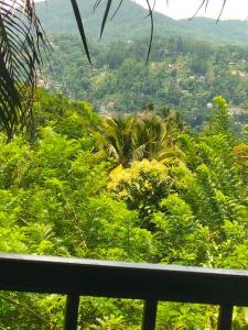 Hidden Heaven Grove-Kandy