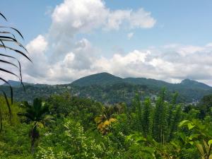 Hidden Heaven Grove-Kandy
