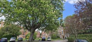 Cozy Retreat in Historic Oxford with free parking