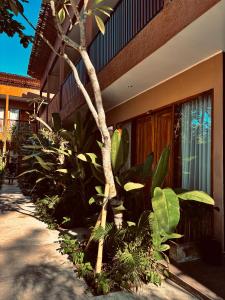 Home Dejavu