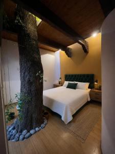 Casa del Arbol