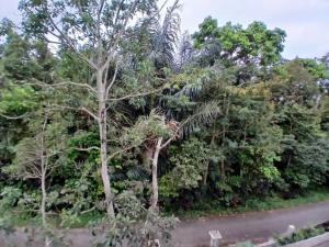 G Lova Villa Tetebatu