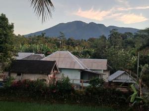 G Lova Villa Tetebatu