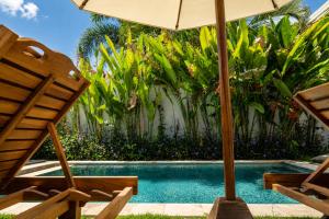 Susurro Villas - New Cozy Bungalow - Private Kitchen - 80Mbps WiFi