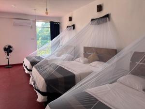 Ella chanidu Inn