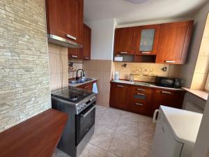 APARTAMENT Wilczycka