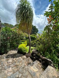 Quinta Huicochea