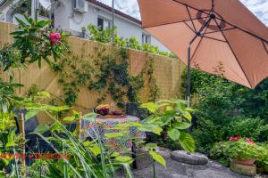 Apartments Zonta