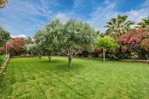 Beautiful Finca Ca SHomo in Tranquil Village