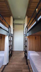 Camping Derby Loredo by Mola!