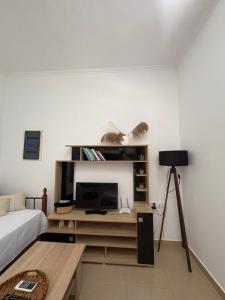 Aelia studio