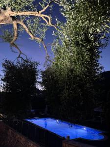 Diogenis Parga Studios