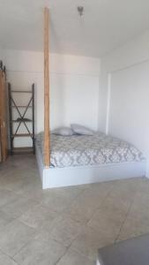evgenias studio 2