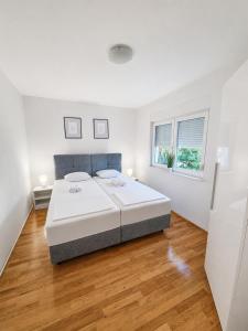 Pool Apartment Sol